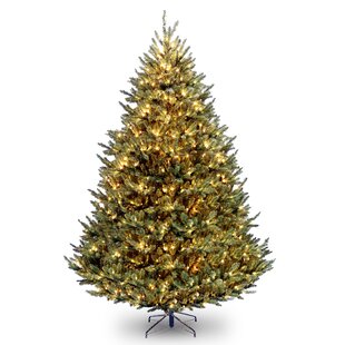 Natural Fraser Fir 9' H Green Spruce Christmas Tree with 1200 Clear Lights