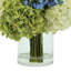 Hydranges And Astilbe In Planter