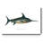 " Common Sword-Fish "-124067530