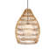 Fishtrap 1 - Light Pendant