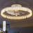 20 inch Ceiling Fans with Lights and Remote-1007392811