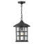 Freeport 1 - Light Lantern Geometric Chandelier-648785641