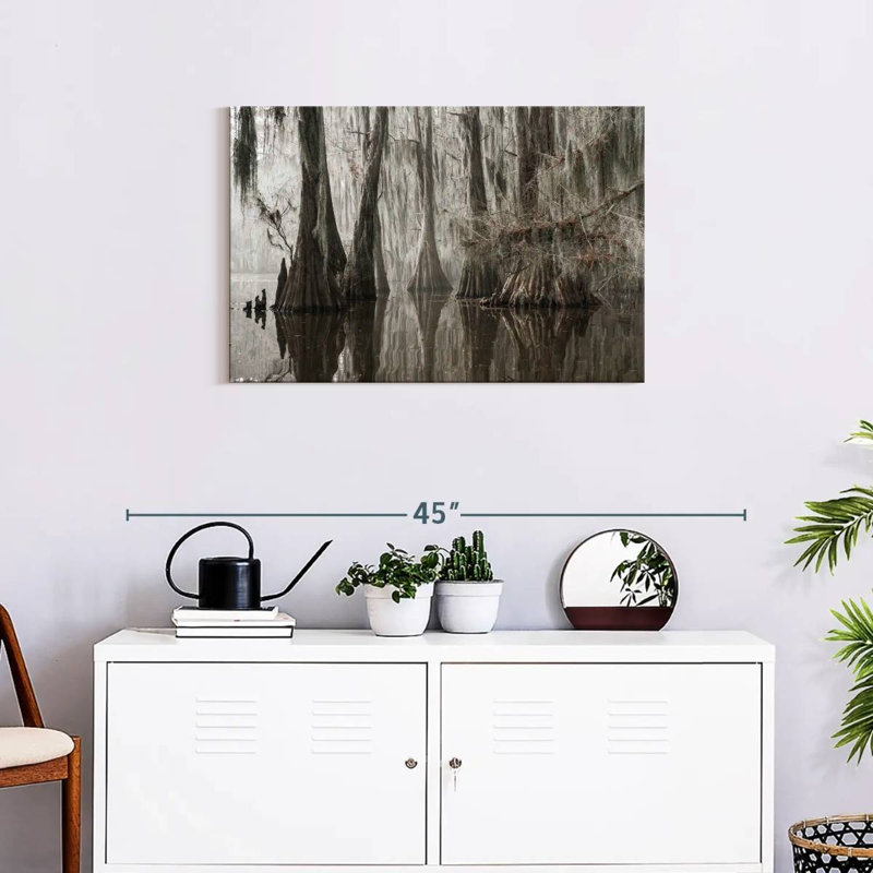 Arbres Harnek poussant dans le lac Caddo, H 20 po x l 30 po