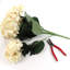 Hortensia-495532167