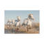White Angels Of Camargue XXXVII by Daniel Kordan - Print on Canvas-443743585-443743590