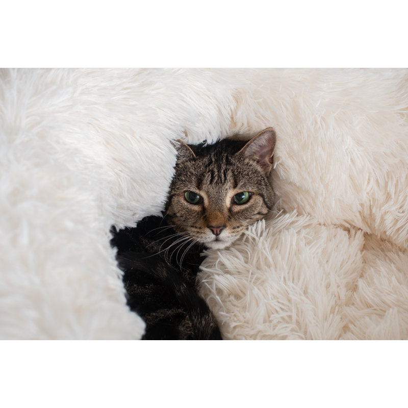 Medium Off-White Ultra Plush Faux Fur Pet Bed