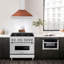 ZLINE 36 in. Convertible Stainless Steel Range Hood with Copper Shell and Handle (KB4STX-C-36)