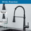 Belfry Kitchen Macsen Pull Out Kitchen Faucet with Soap Dispenser