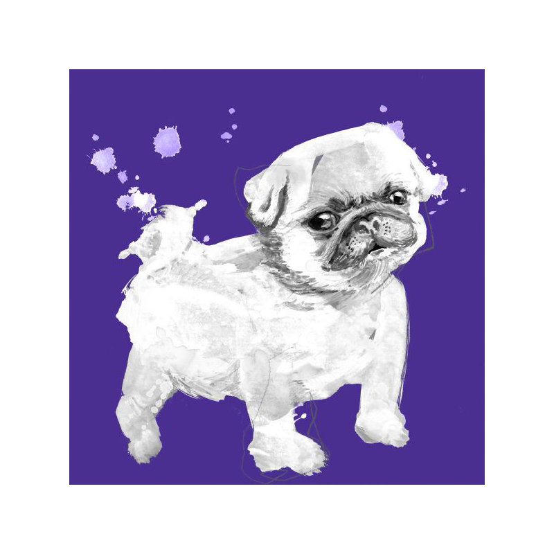 Vivid Puppies IV Painting by Elle Youngstrom, Plexi