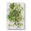 Leaf Lines - Wrapped Canvas-56638708