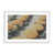 Opaque White Single Picture Framed is unavailable