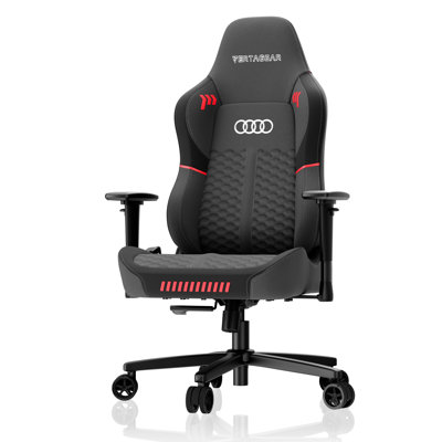  SL3800 Synthetic Leather Ergonomic Features Audi Special Edition