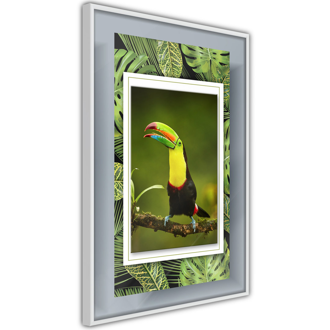 Gerahmtes Poster Toucan Im Rahmen