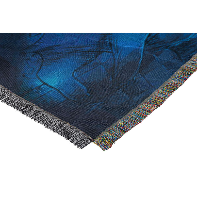 Warner Bros. Harry Potter Throw Blanket, Moonlit Crest Wizarding World Decor, 48x60 Inches