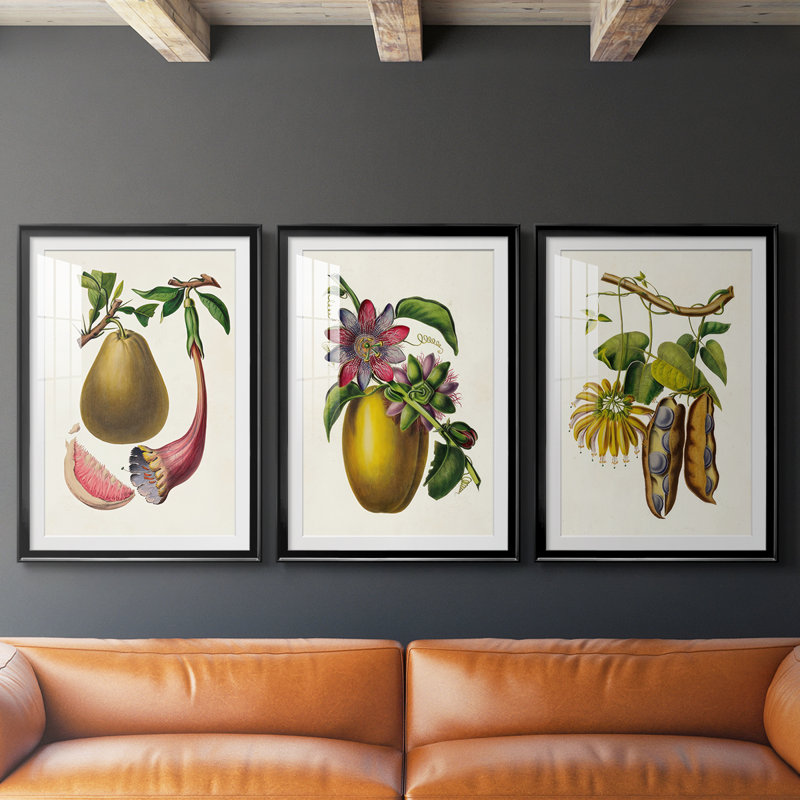Fruit of the Tropics I - reproduction sur mesure encadrée de qualité supérieure - 3 pièces, Noir, H 19 po x l 27 po