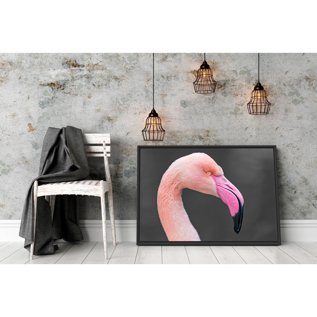 Flamingo Seitenprofil" Gerahmter Fotodruck