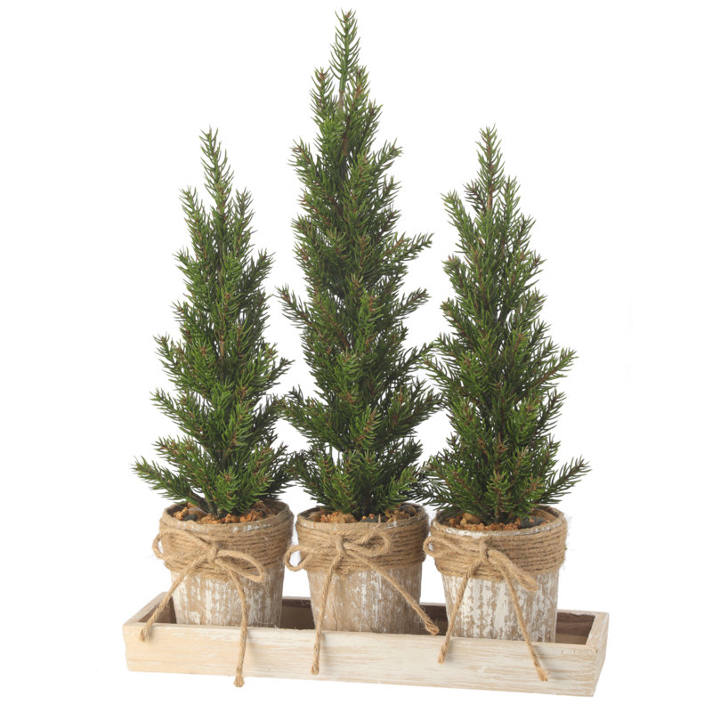 Ensemble de 3 pins artificiels en pot