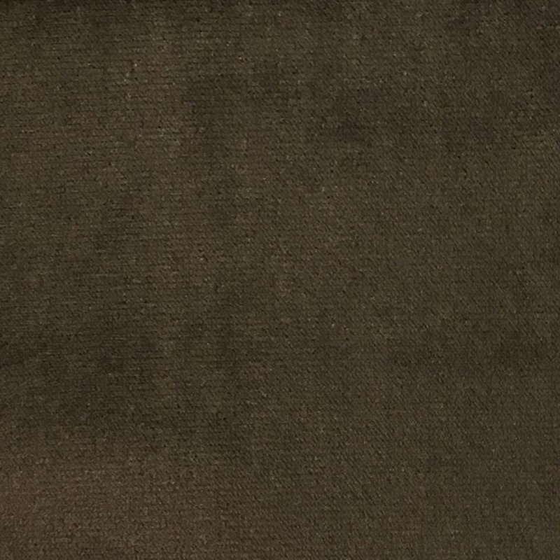 Velours de satin de coton Belvedere-Byron, Espresso