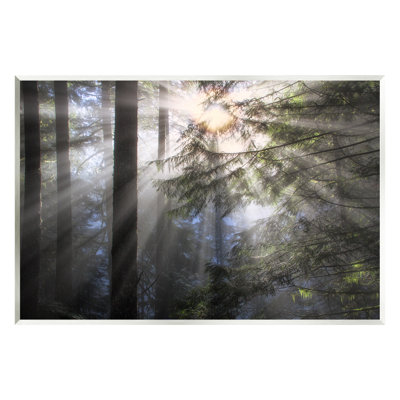 "Stupell Industries Forest Sun Rays Nature Landscape", art mural par Dennis Frates-au-821