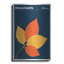 «State Posters MA» par Print Collection, art mural en métal-1117441793