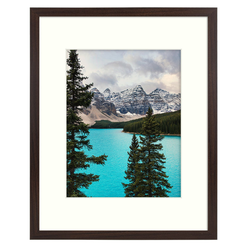 Cadre pour photo simple en bois mat - Basics by Wayfair ™, Noyer, 16 po x 20 po emmêlé à 11 po x 14 po