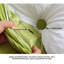 Support de dossier triangulaire en velours-56420215-56420206