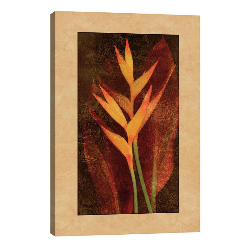 John Seba - Wrapped Canvas Print, 101.6 cm H x 66.04 cm W x 3.175 cm D