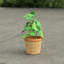Artificial Basil in Aged Terracotta Pot-14910769
