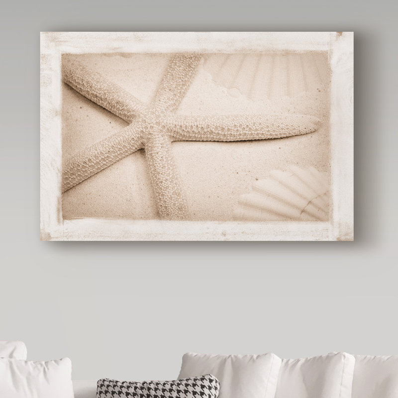 «Starfish, Shells and Sand», reproduction de photo sur toile tendue, 16 po x 24 po