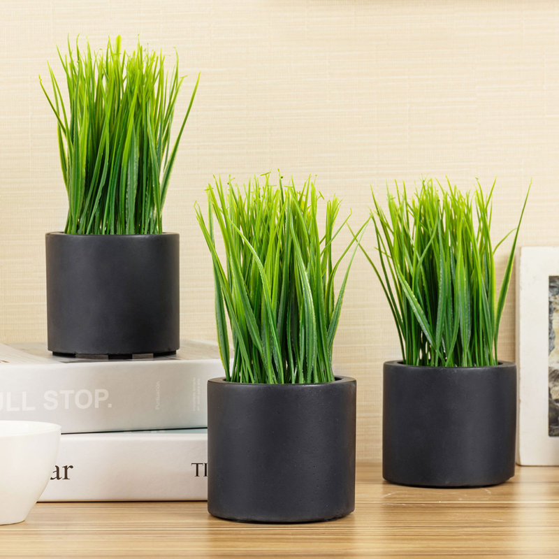 Herbe artificielle à feuilles persistantes en pot, Noir