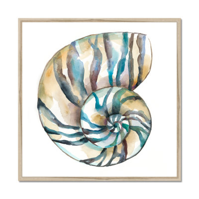 Aquarelle Shells II by Chariklia Zarris - Painting