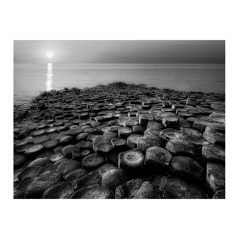 Columnar Sunset - Print on Canvas, Paper