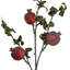 Annegrete Arrangement