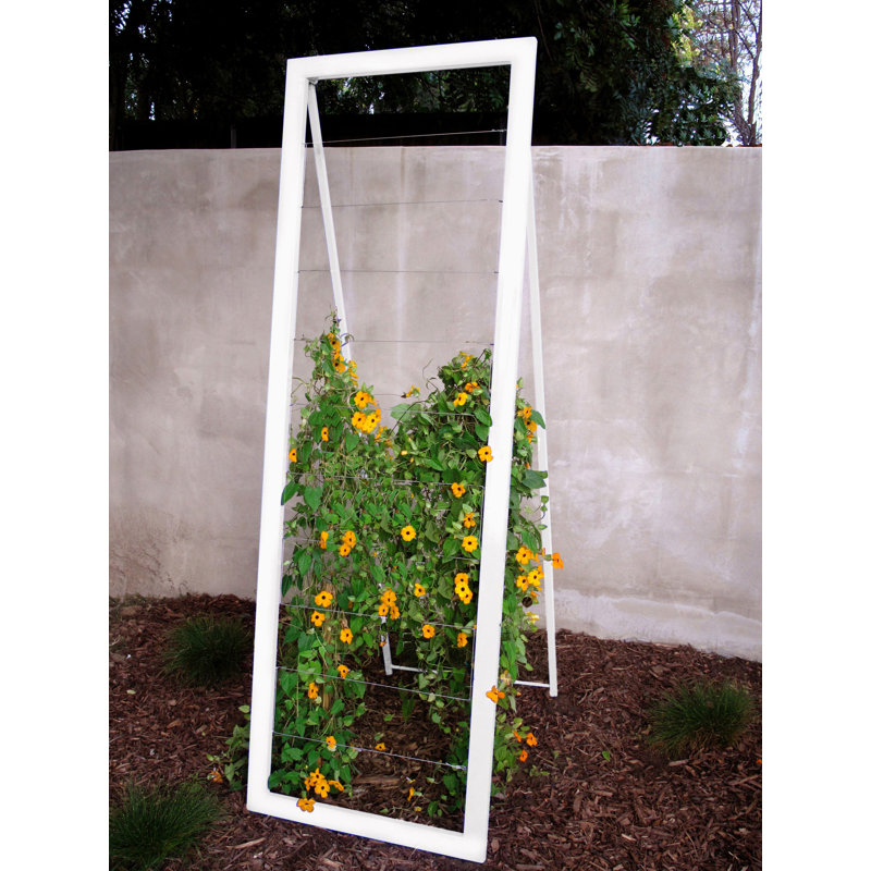 Treillis pliable en acier kestwick, Nuage