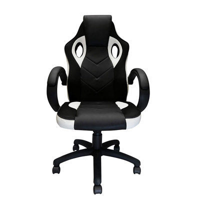 Symple Stuff Adjustable Armrest and Reclining PC & Racing Game Chair