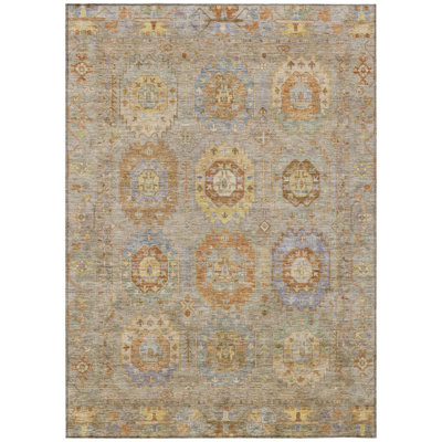 Machine Washable Indoor/Outdoor Kadyn ACN2227 Panel Rug