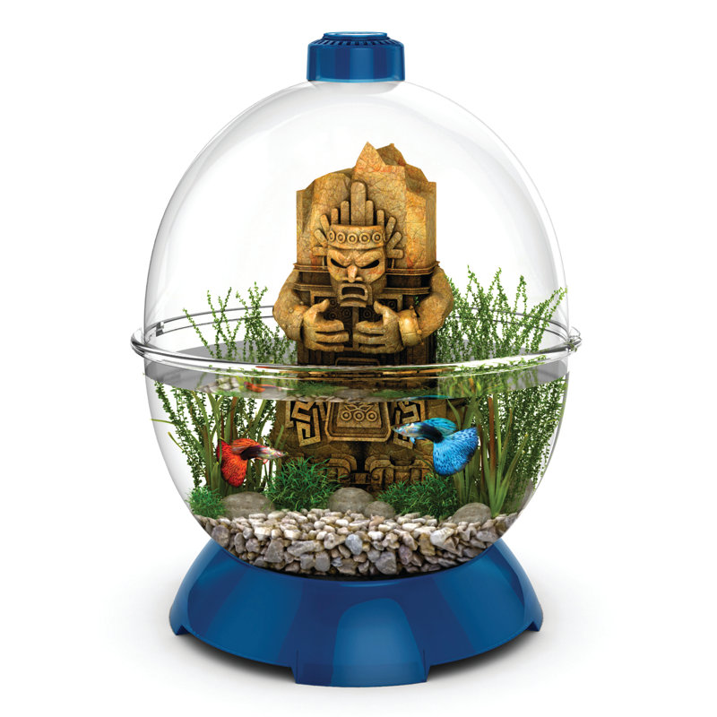 Habitat modulaire Wonder Bubble, Bleu