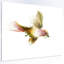 « nice flight of green oiseau », peinture-34270598-34270885