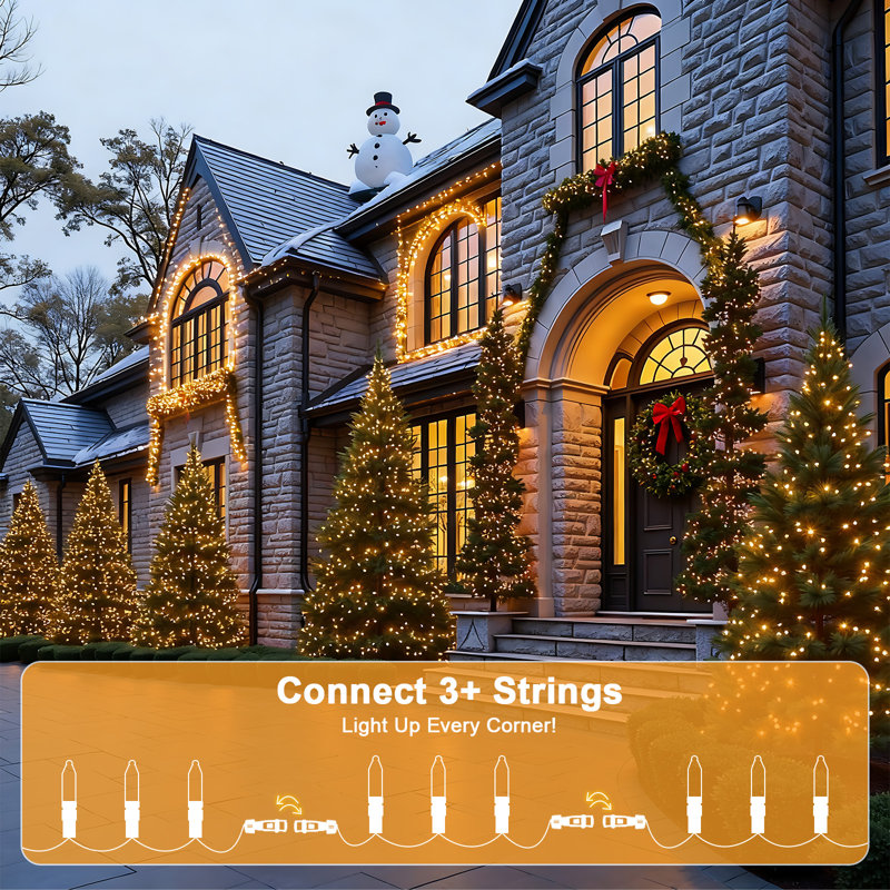 99ft Classic LED Twinkle String Lights Outdoor for Patio, 300 Count Mini Tips, Plug In, 30m