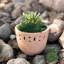 Pot de fleurs en terre cuite Arlmont & Co.