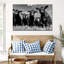 «Monus Angus Cows» sur toile-425075677