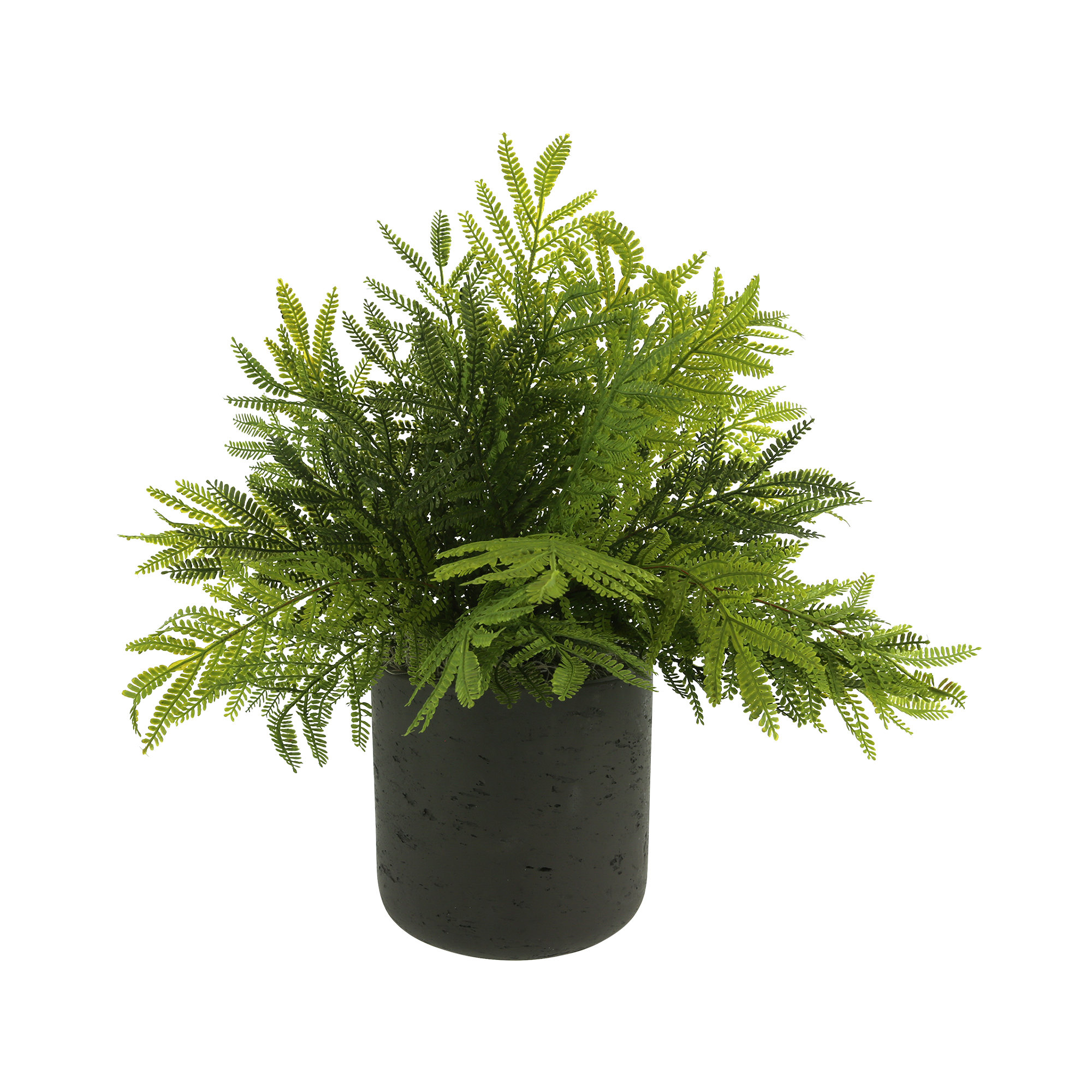 Eco-Puffer Fern