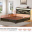 Antioch Upholstered Bed-1929943772-1929943777