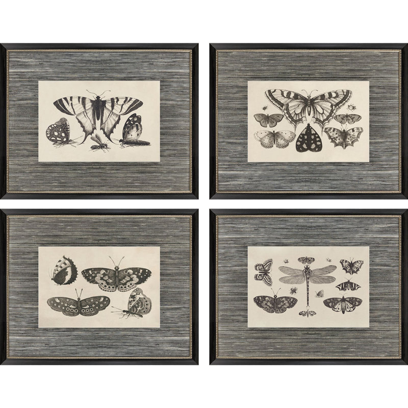 Anthropod Collection Framed Art