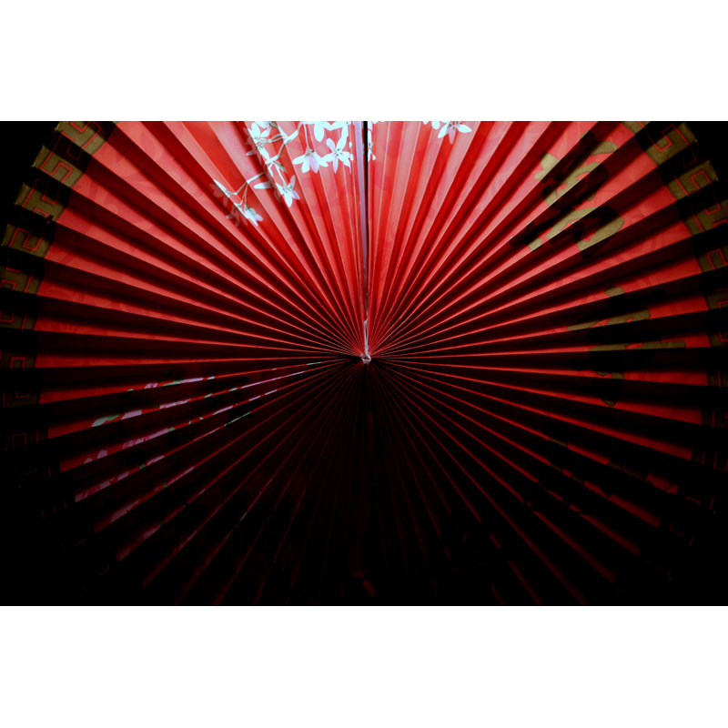 Chinese Fan by Matthuffield - Wrapped Canvas Print, 30cm H x 46cm W x 3.8cm D