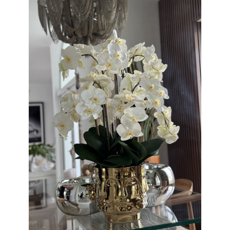 Orchid Floral Arrangement in Vase