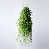 Autumn Green est en rupture de stock