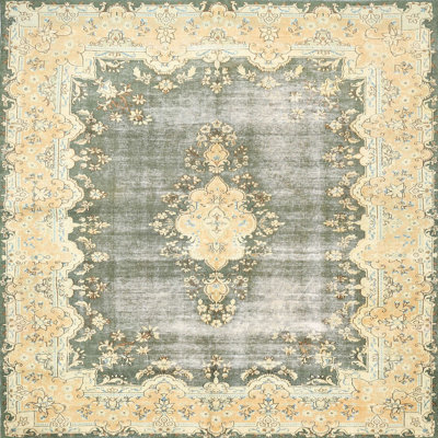 Sassa Oriental Indoor Rug