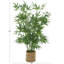 Arbre artificiel à feuilles et Cole Cole Grey-1122949445-1122949465
