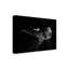 «Black and Whale Shark» par Barathieu Gabriel - reproduction de photo sur toile tendue-228969949